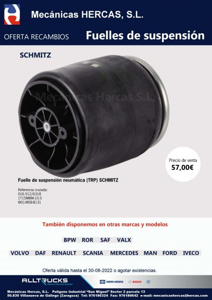 Promoción fuelles de suspensión SCHMITZ